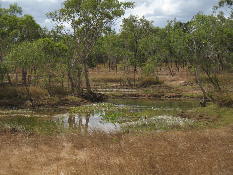 Lakefield National Park - Walkabout